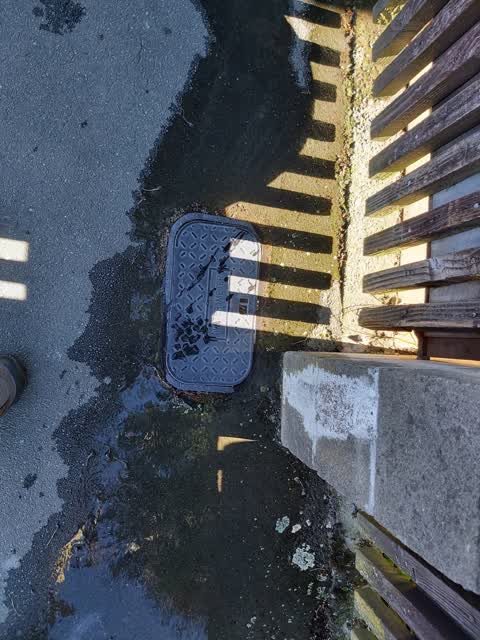 Water Leak, a report photo