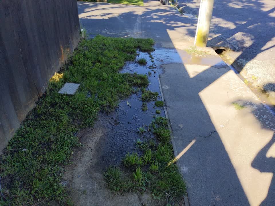 The photograph attached to this water leak report