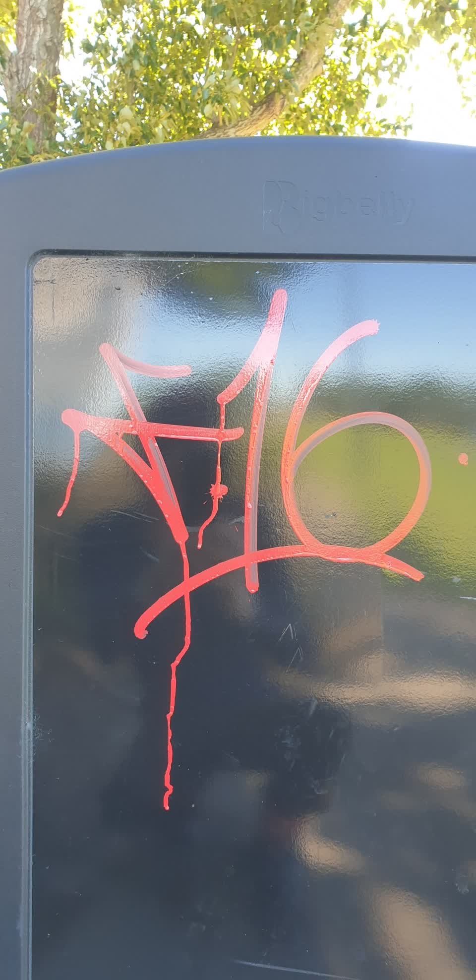 The photograph attached to this graffiti report