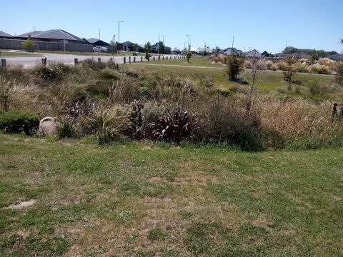 Parks, a report photo