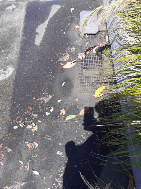Water Leak, a report photo