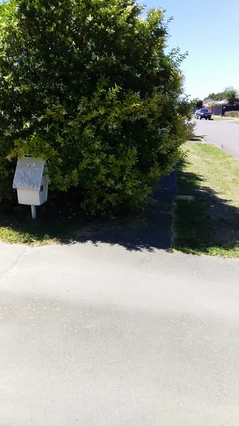 Roading/Streets, a report photo