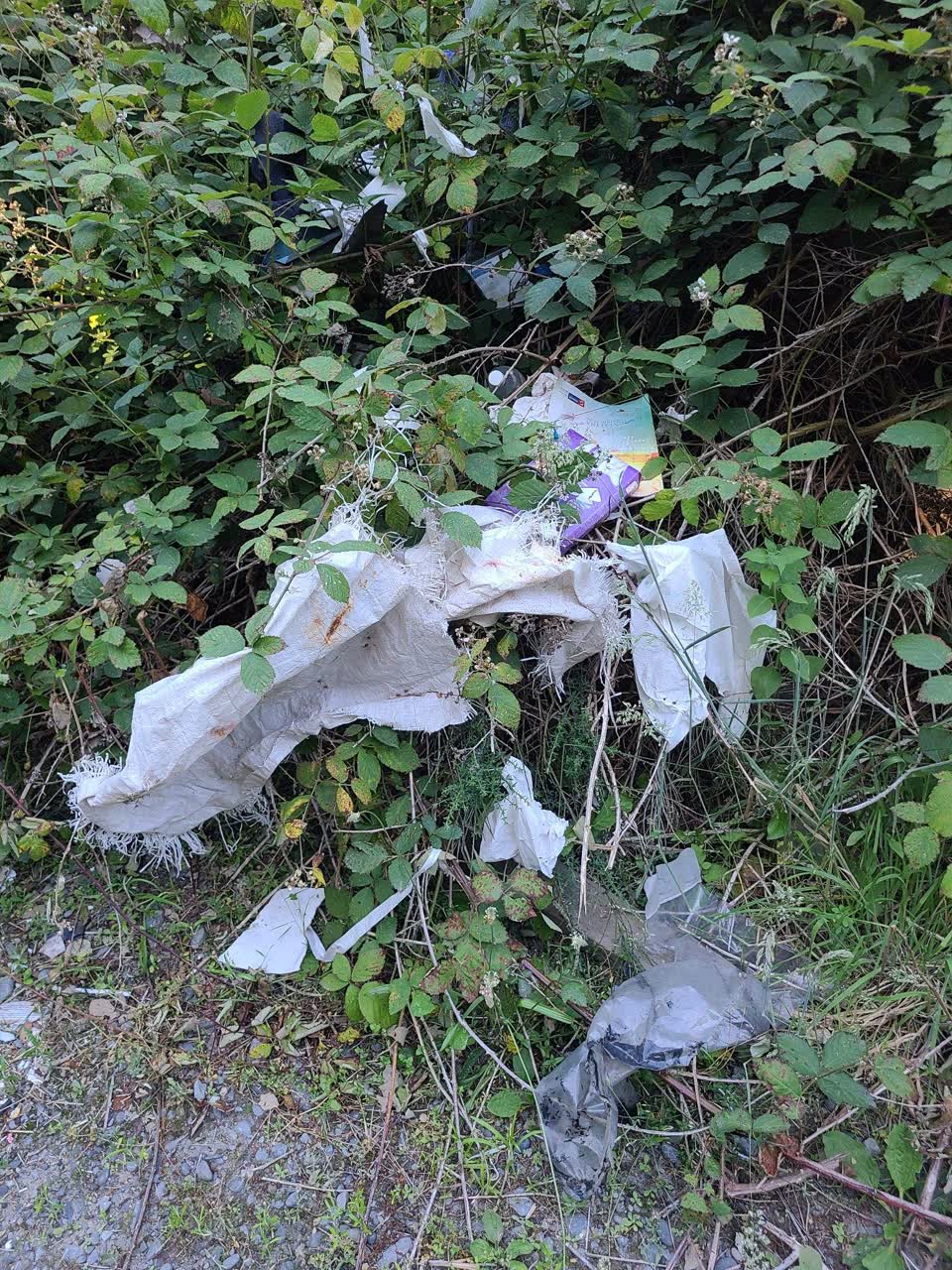 The photograph attached to this rubbish/recycling report