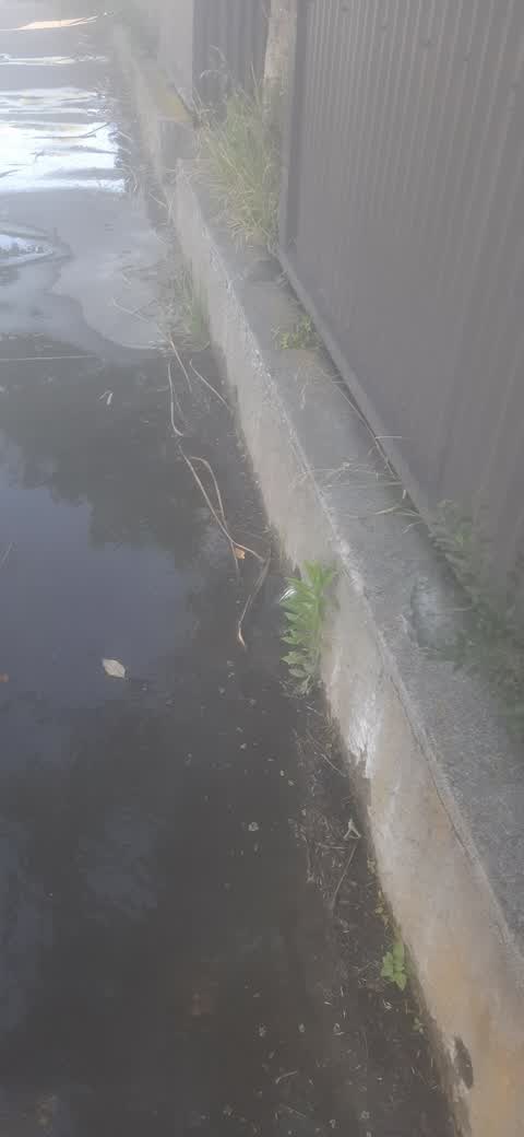 Water Leak, a report photo
