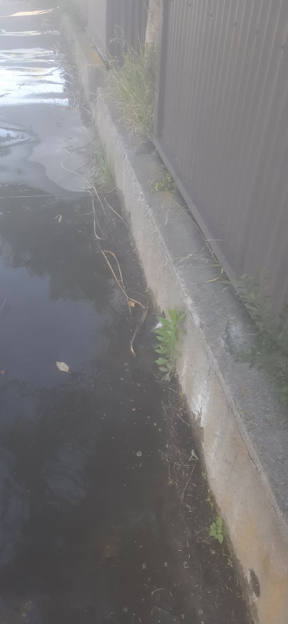 The photograph attached to this water leak report