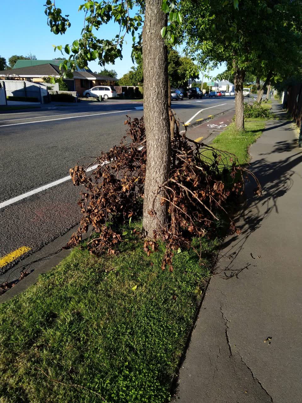 The photograph attached to this roading/streets report