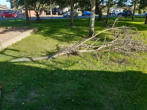 Parks — a report photo