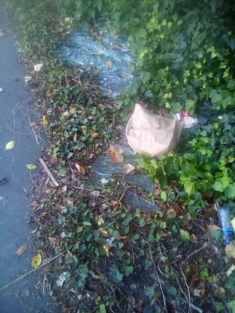 Rubbish/Recycling, a report photo