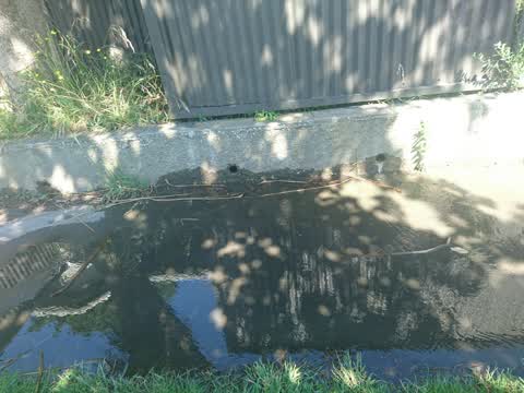 Water Leak, a report photo