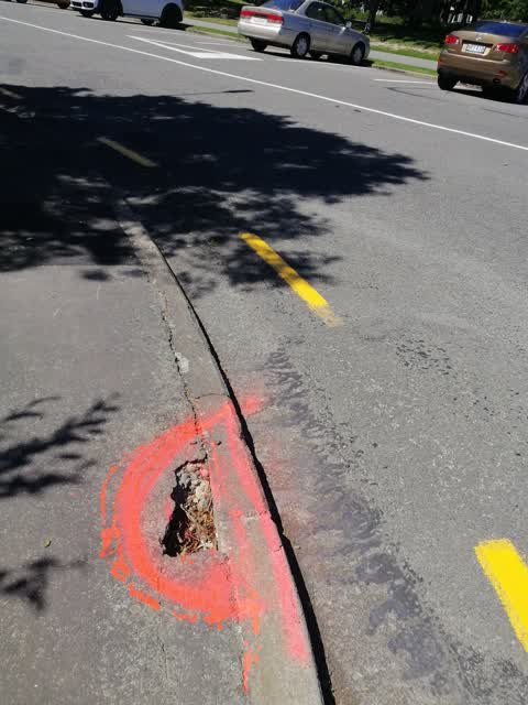Roading/Streets — a report photo