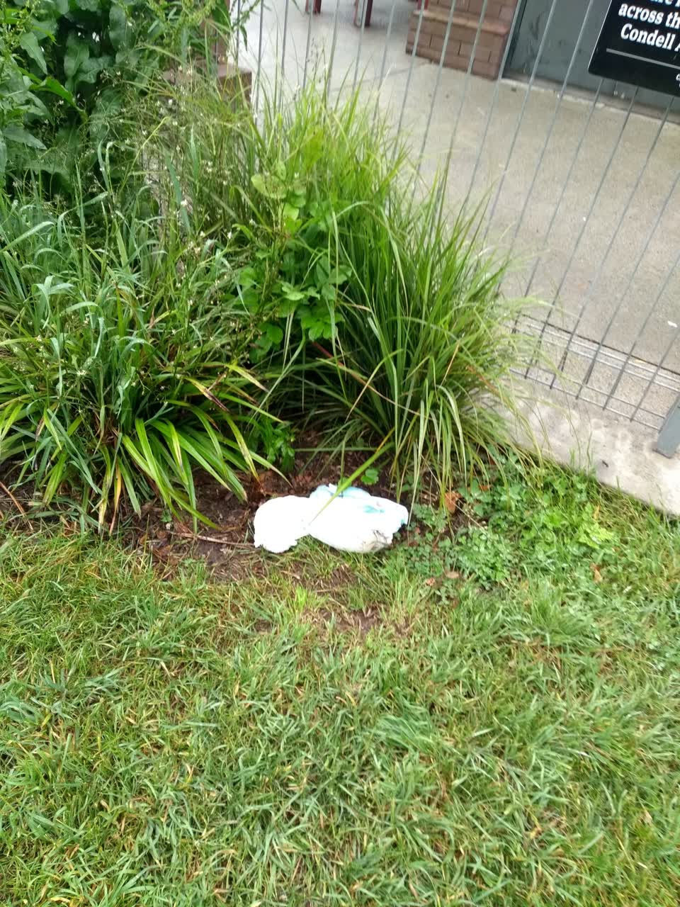 The photograph attached to this parks report