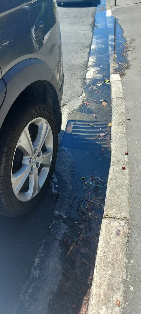 Wastewater/Stormwater, a report photo