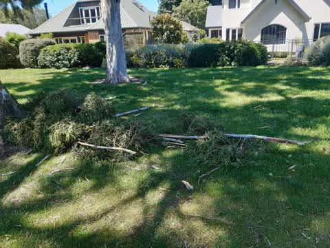 Parks, a report photo