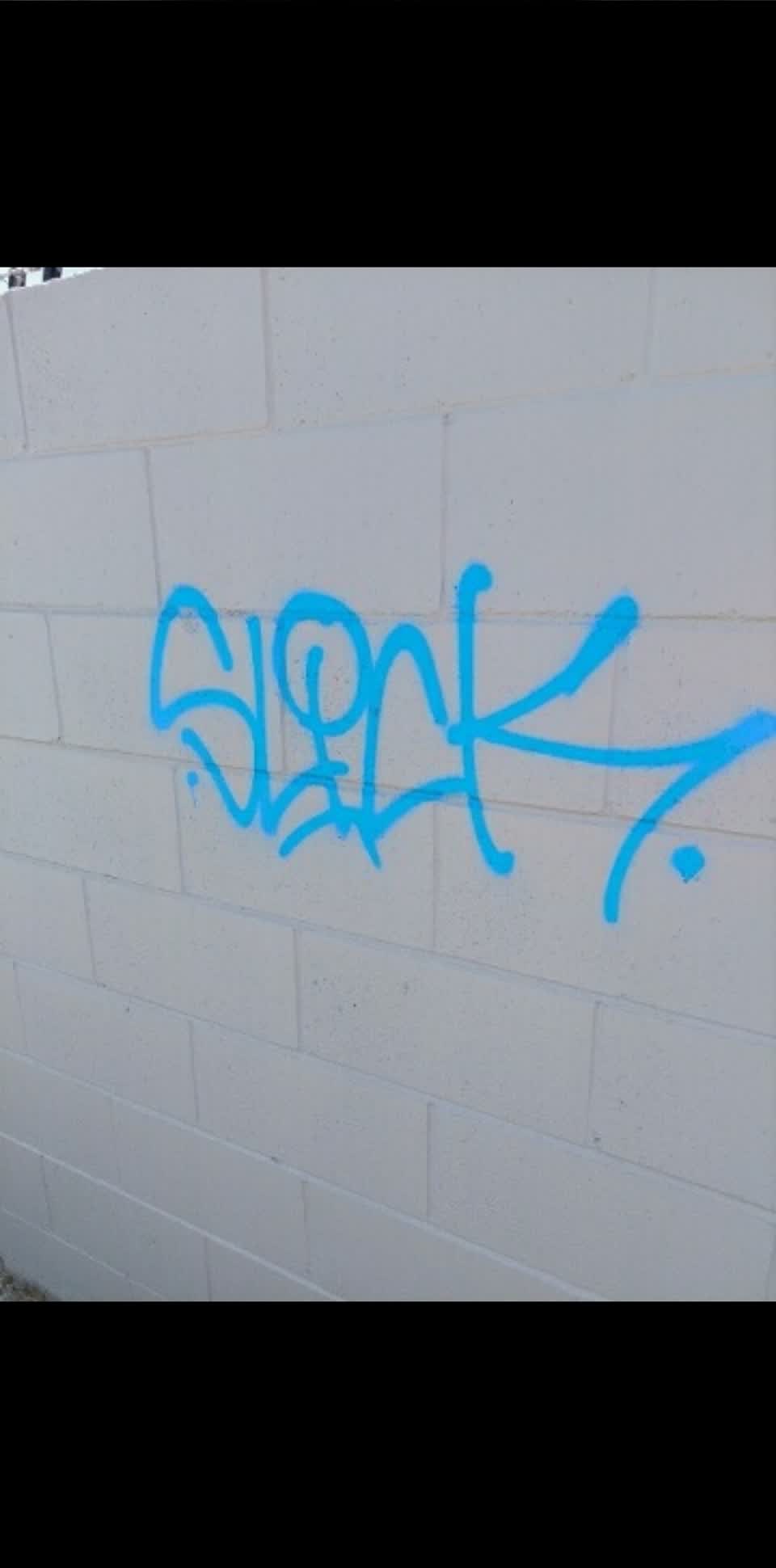 The photograph attached to this graffiti report