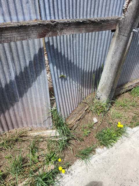 Parks, a report photo