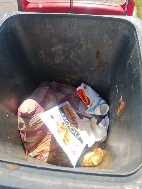 Rubbish/Recycling — a report photo