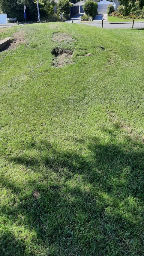 Parks, a report photo