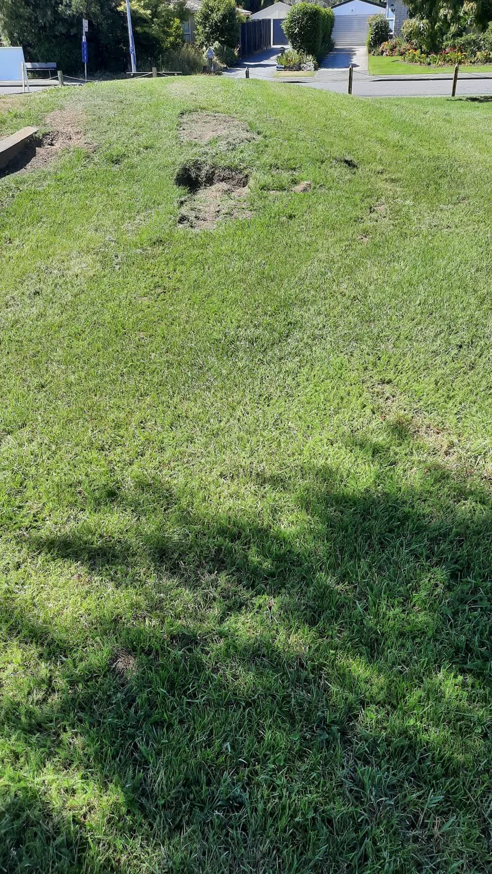 The photograph attached to this parks report