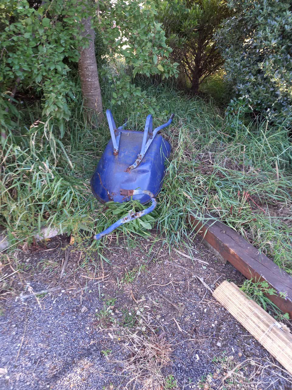 The photograph attached to this parks report