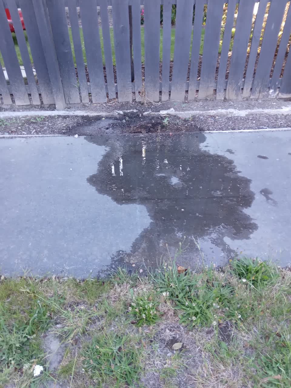 The photograph attached to this water leak report