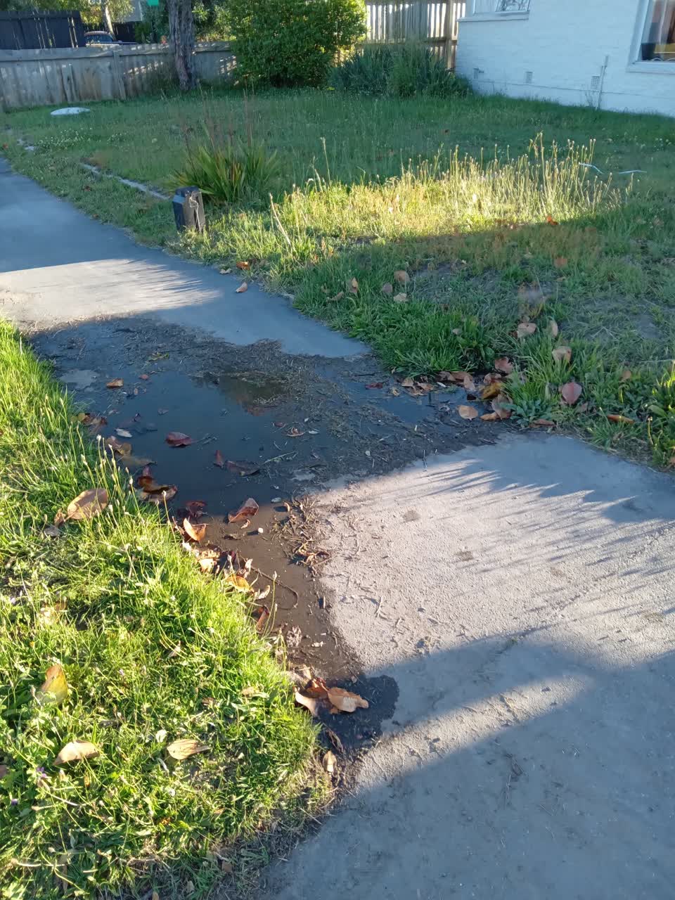 The photograph attached to this water leak report