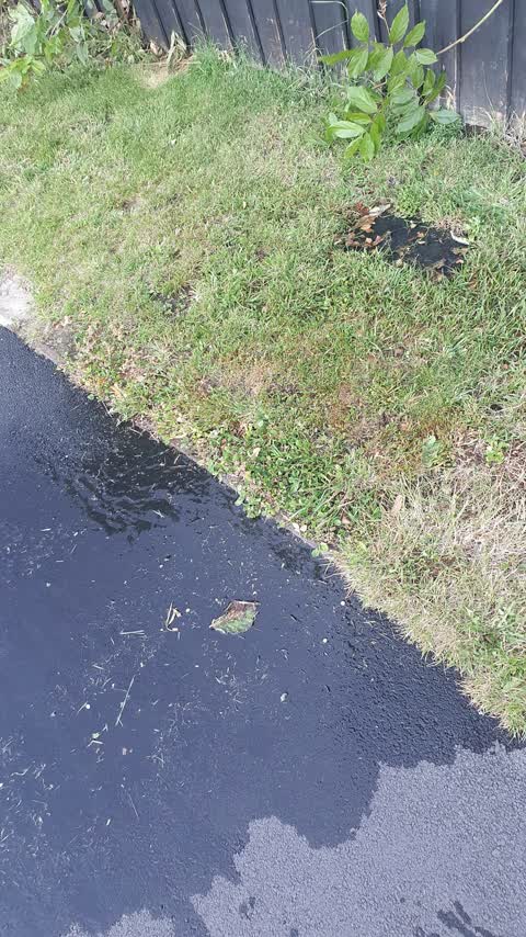 Water Leak, a report photo
