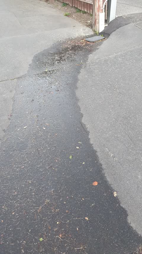Water Leak, a report photo