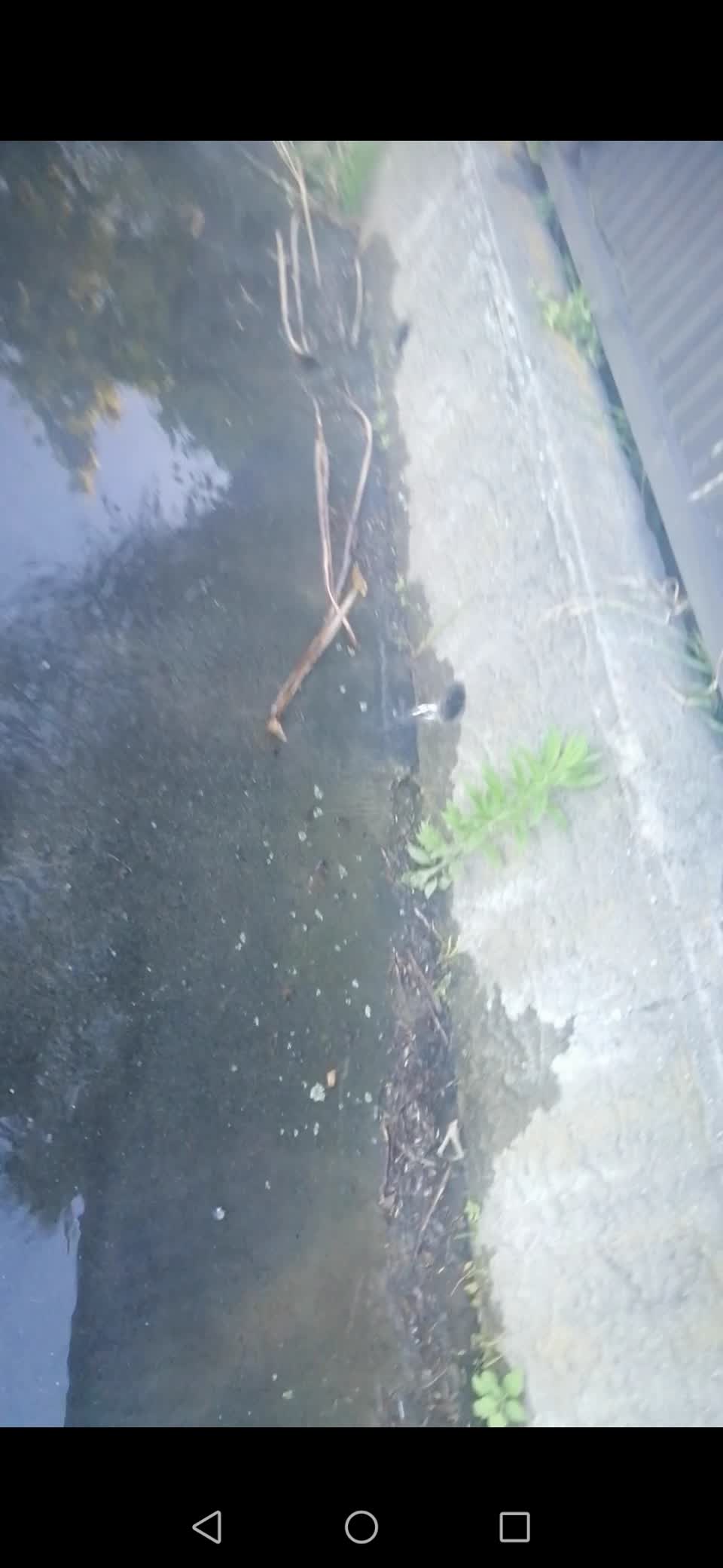 The photograph attached to this flooding report