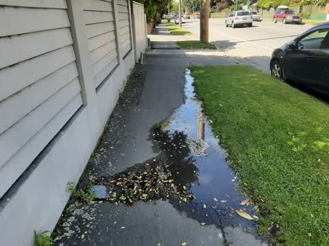 Water Leak, a report photo