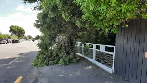 Roading/Streets, a report photo