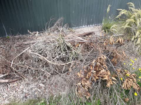Parks, a report photo
