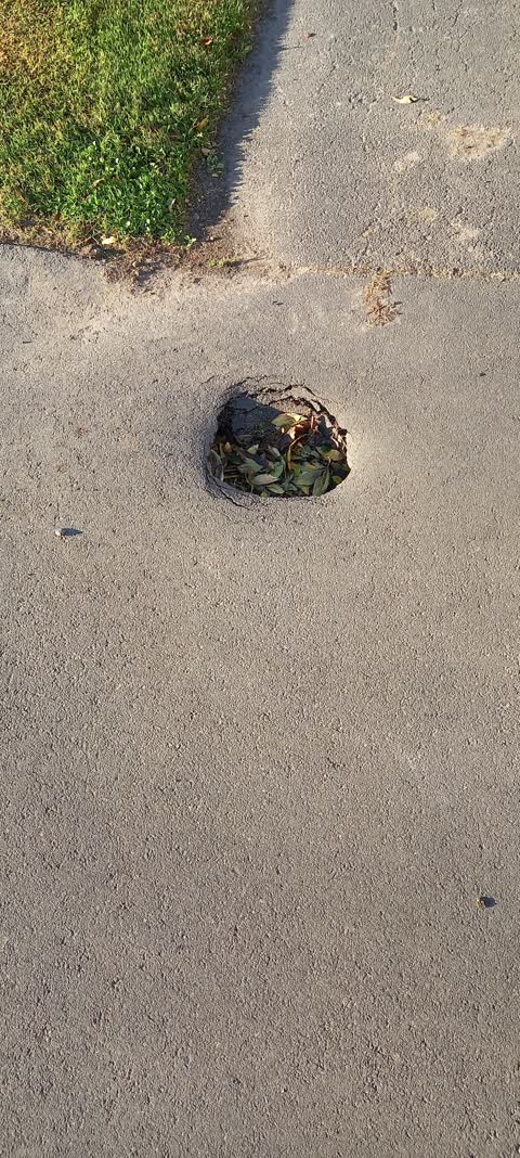 Roading/Streets, a report photo