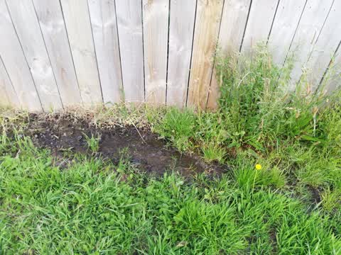 Water Leak, a report photo