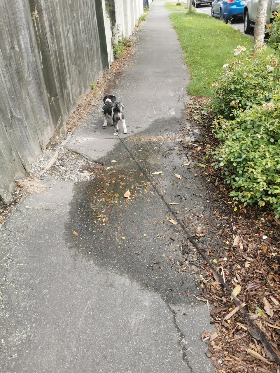 The photograph attached to this water leak report