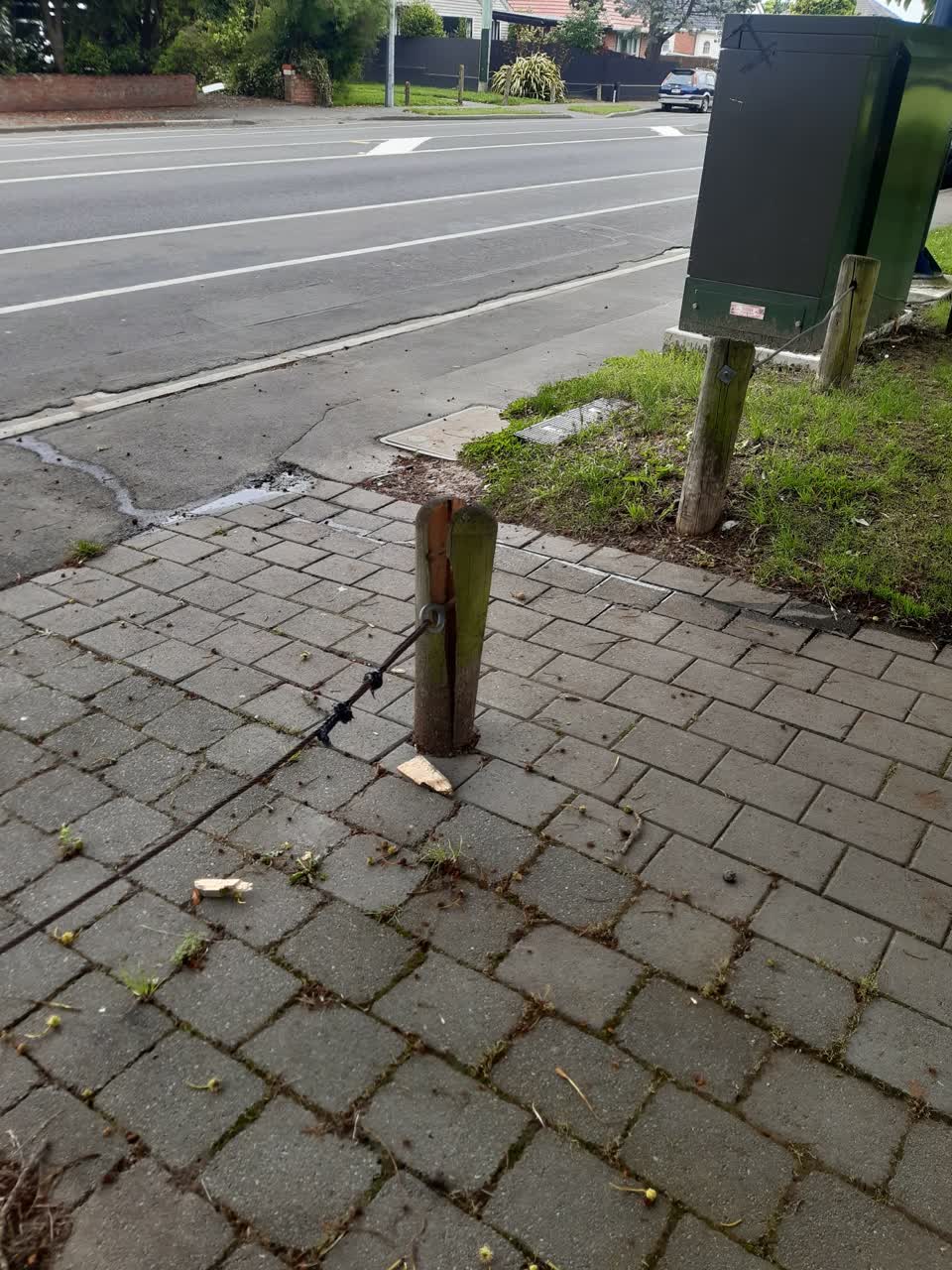 The photograph attached to this parks report