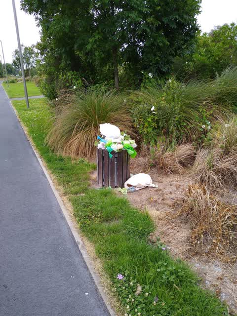 Parks, a report photo