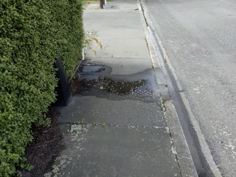 Water Leak, a report photo