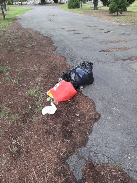 Rubbish/Recycling, a report photo