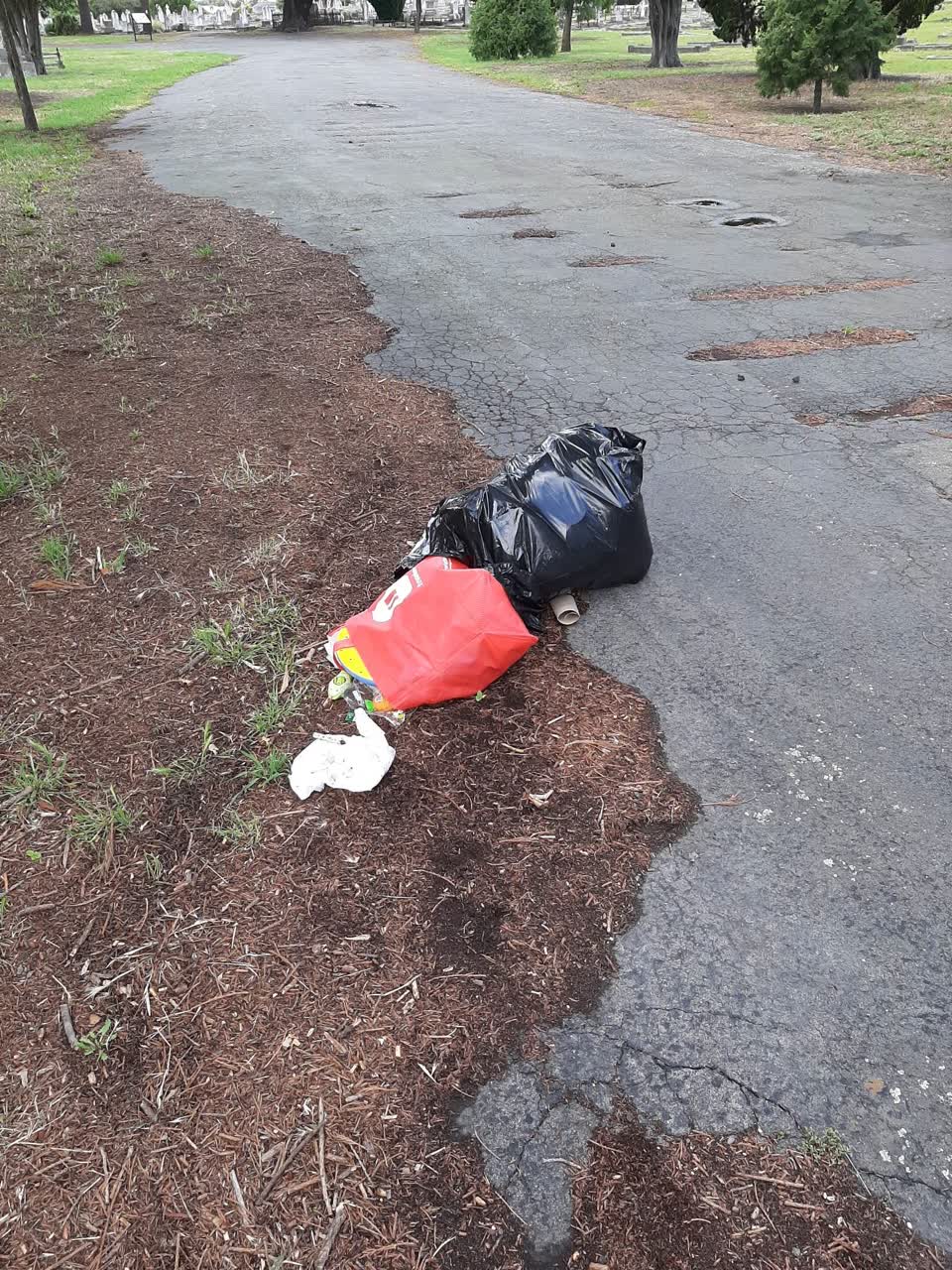 The photograph attached to this rubbish/recycling report