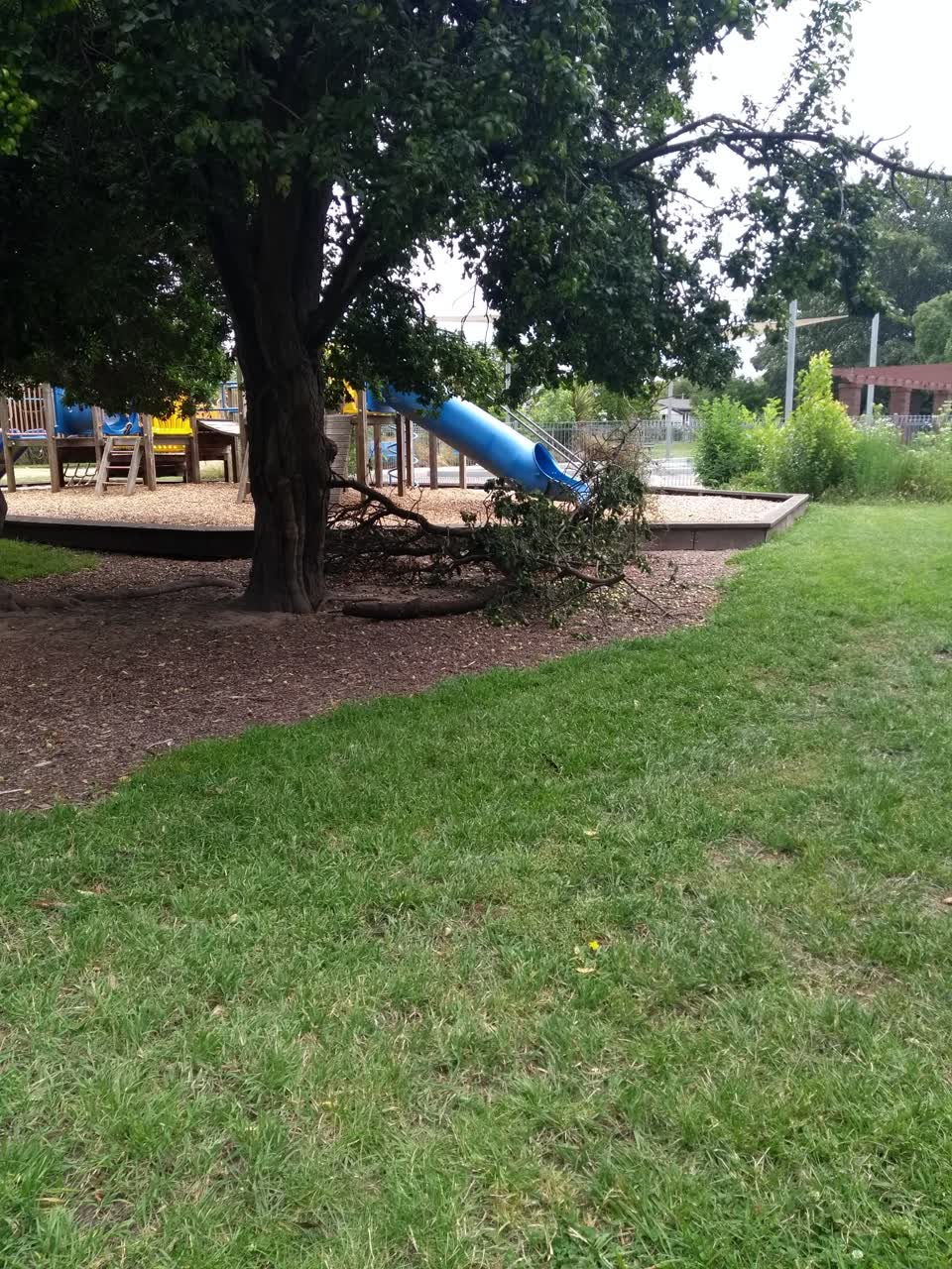 The photograph attached to this parks report