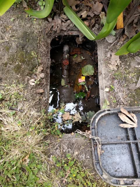 Water Leak, a report photo
