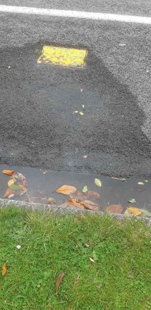 Water Leak, a report photo