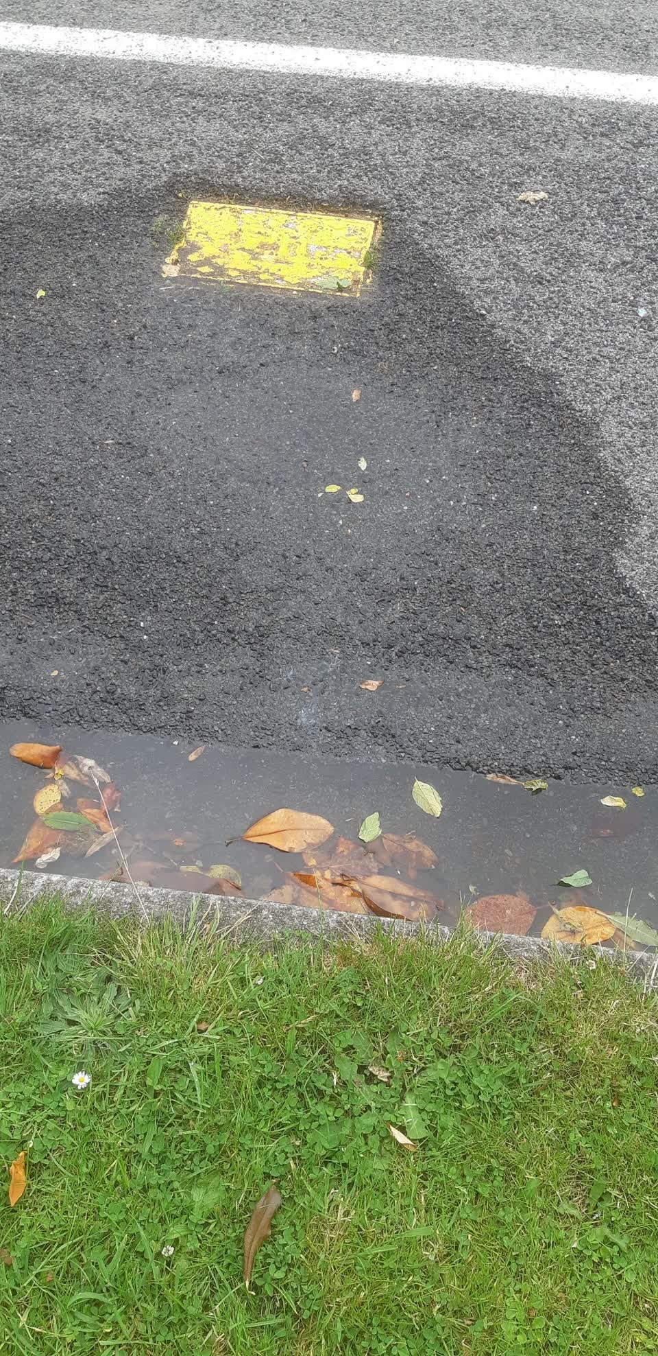 The photograph attached to this water leak report