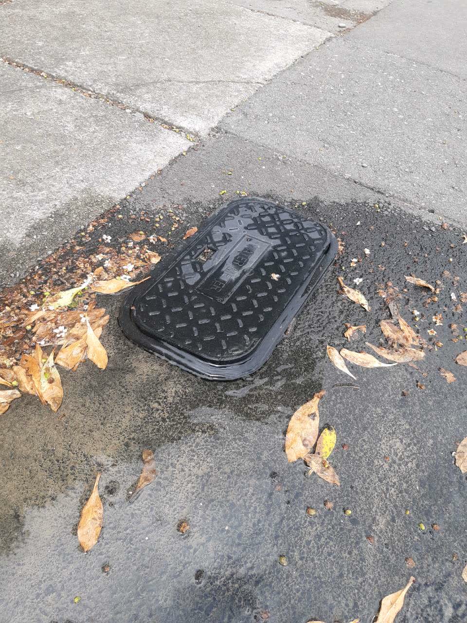 The photograph attached to this parks report