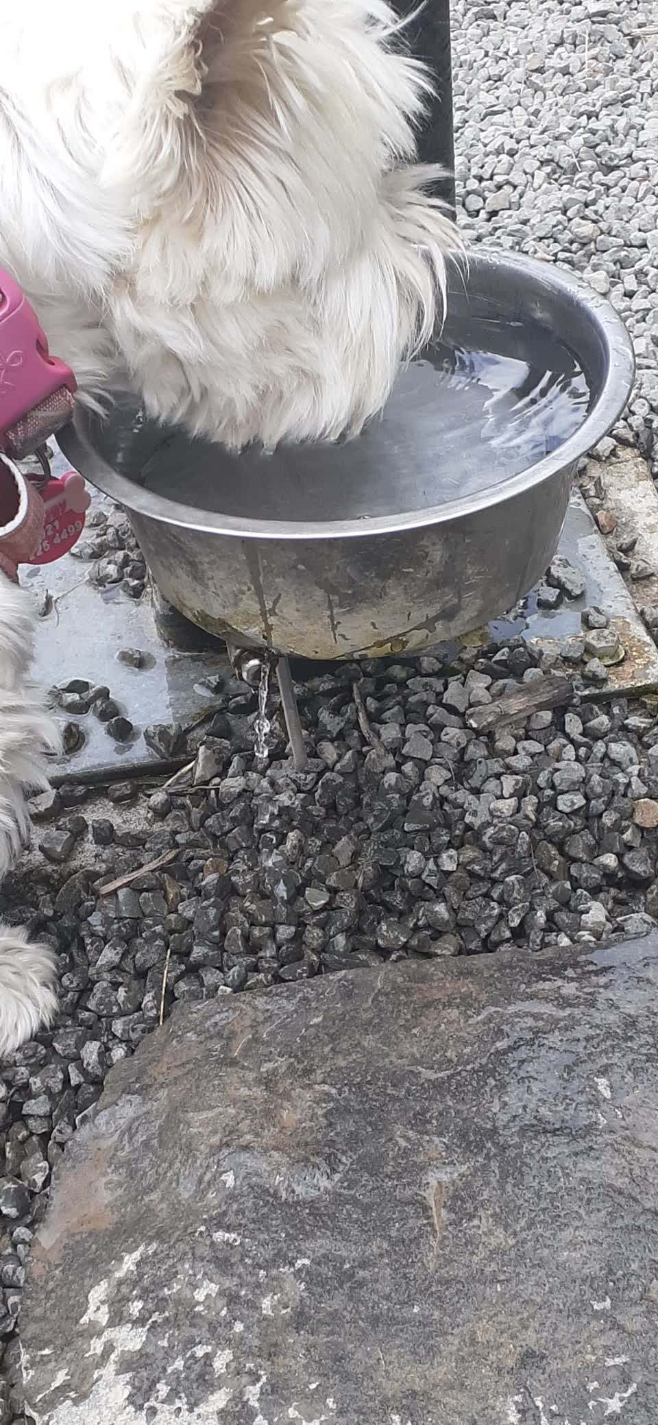 The photograph attached to this water leak report