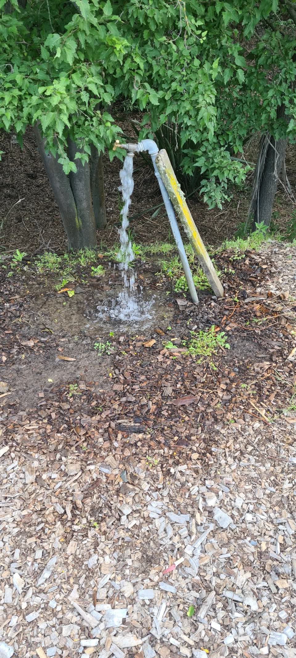The photograph attached to this water leak report