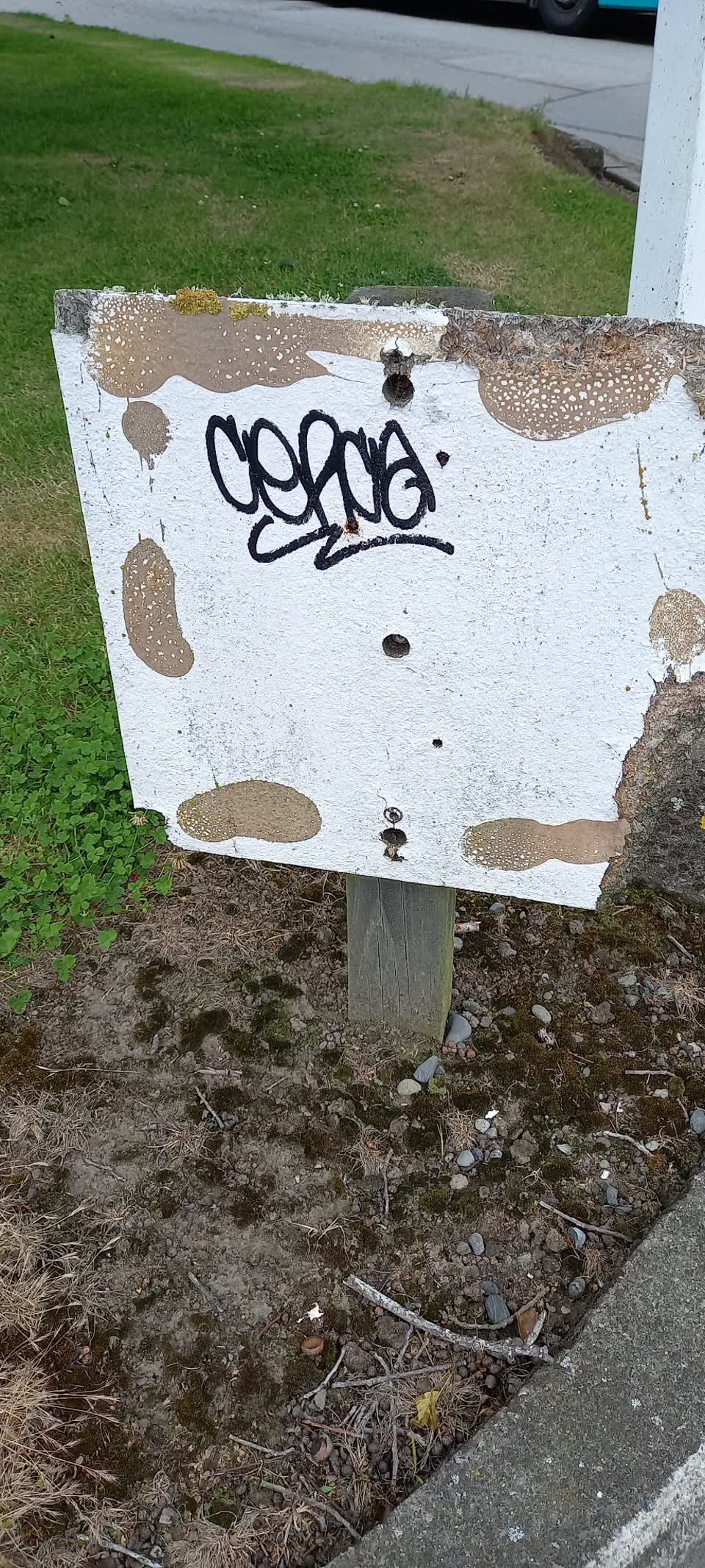 The photograph attached to this graffiti report