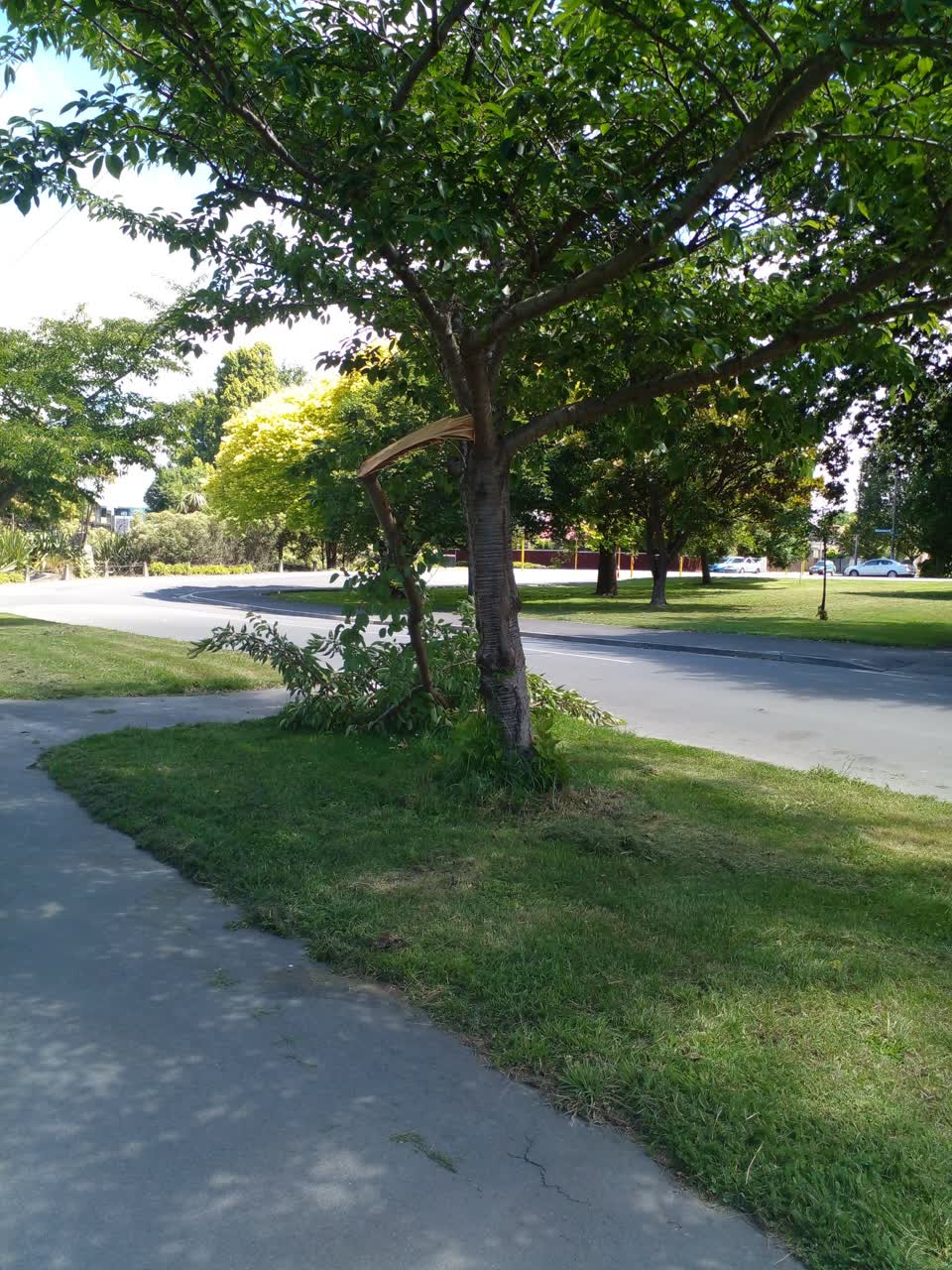 The photograph attached to this parks report