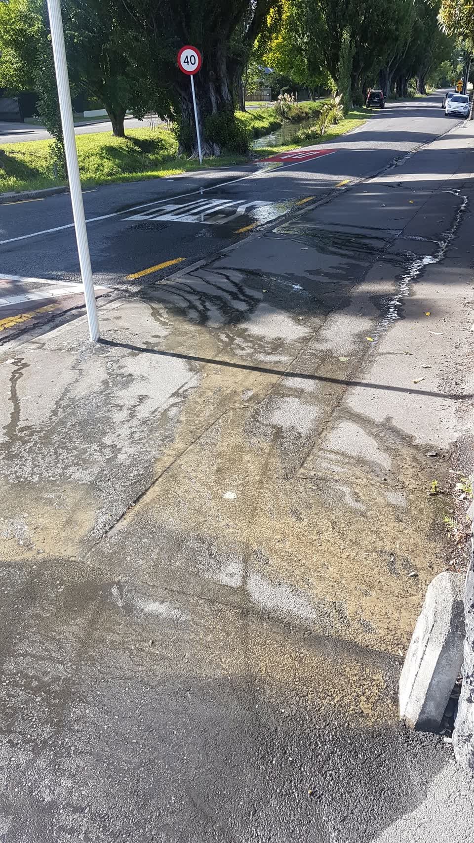 The photograph attached to this water leak report