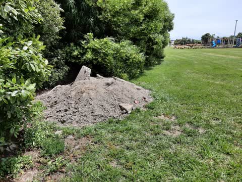 Parks, a report photo